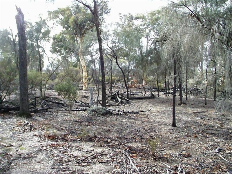 Lot 1 Taylor Road, Narrogin WA 6312