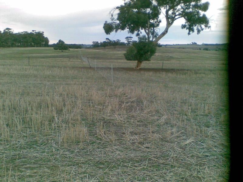 Lot 1 Taylor Road, Narrogin WA 6312