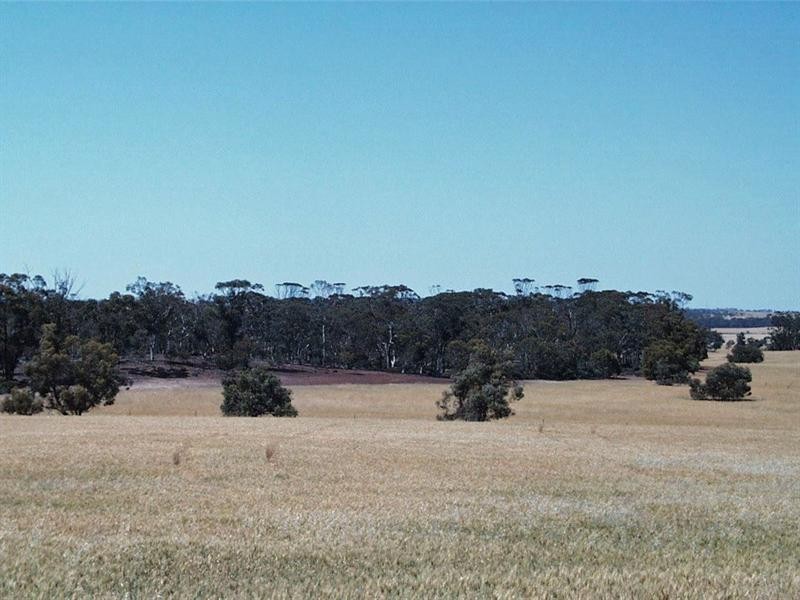 Lot 1 Taylor Road, Narrogin WA 6312