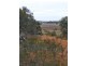 Lot 1 Taylor Road, Narrogin WA 6312