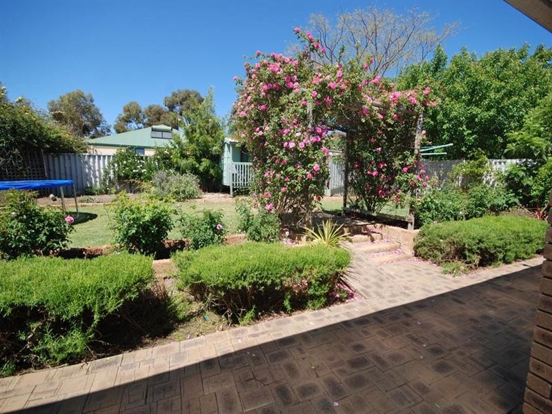 58 Sydney Hall Way, Narrogin WA 6312