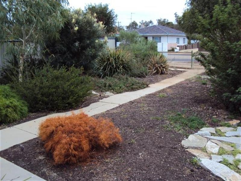 2 Fox Street, Narrogin WA 6312