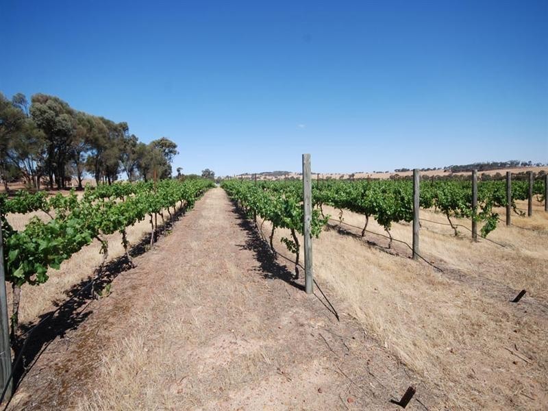 1573 Popanyinning West Road, Popanyinning WA 6309