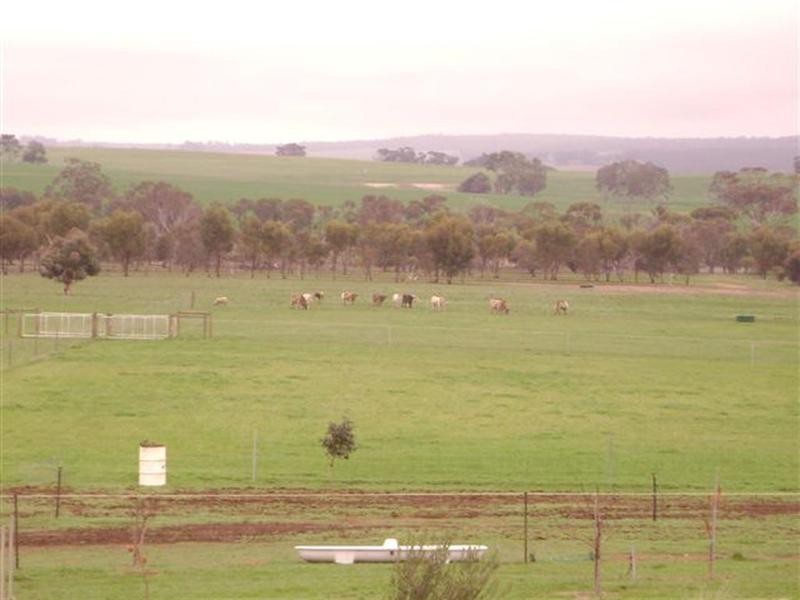 1573 Popanyinning West Road, Popanyinning WA 6309