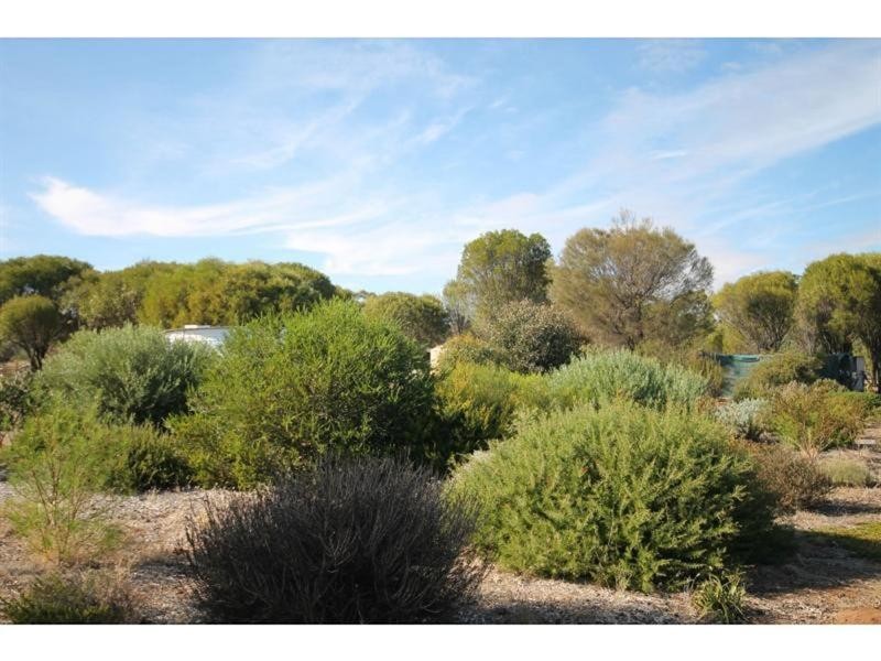 113 Clifford Street, Cuballing WA 6311