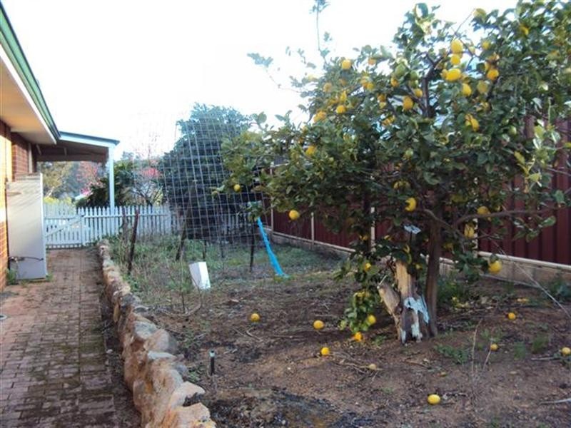 88 Forrest Street, Narrogin WA 6312