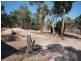 25 Kelvin Street, Pingelly WA 6308