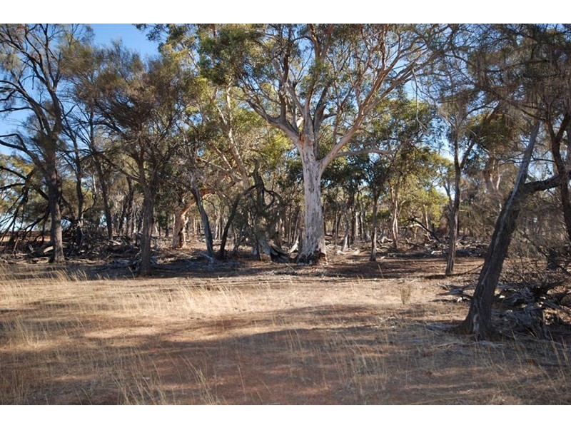 4826 Williams-Kondinin Road, Narrogin WA 6312