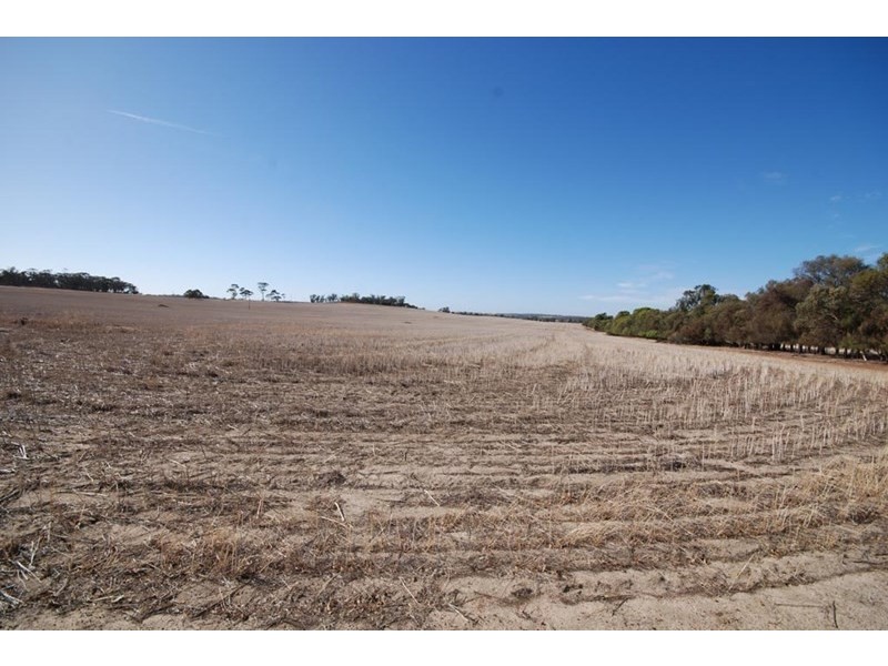 4826 Williams-Kondinin Road, Narrogin WA 6312