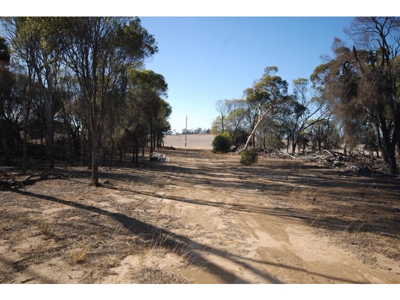 4826 Williams-Kondinin Road, Narrogin WA 6312