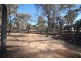 4826 Williams-Kondinin Road, Narrogin WA 6312