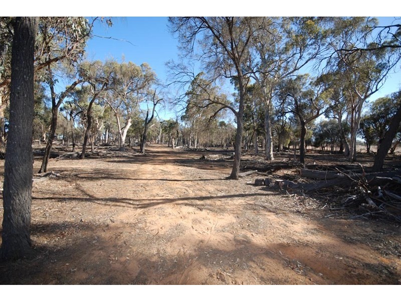 4826 Williams-Kondinin Road, Narrogin WA 6312