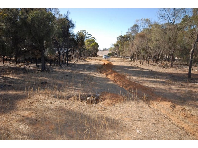 4826 Williams-Kondinin Road, Narrogin WA 6312