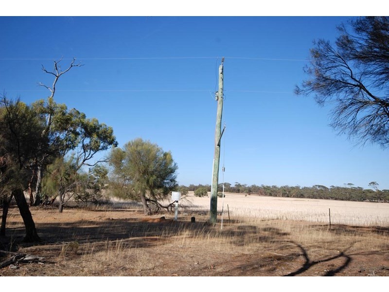 4826 Williams-Kondinin Road, Narrogin WA 6312