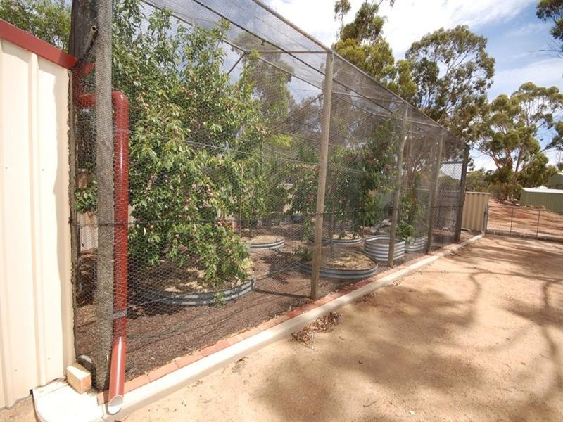 187 Campbell Street, Cuballing WA 6311