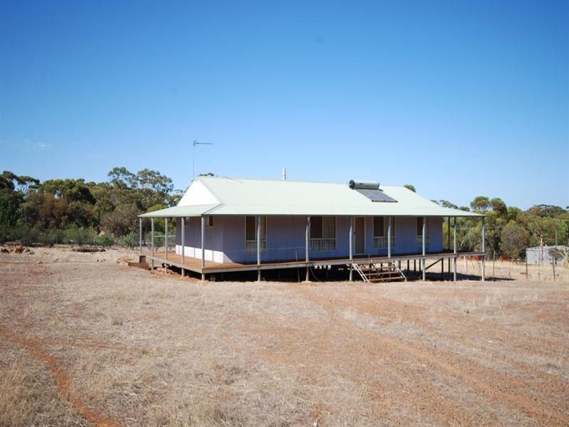 96 Herald Street, Narrogin WA 6312