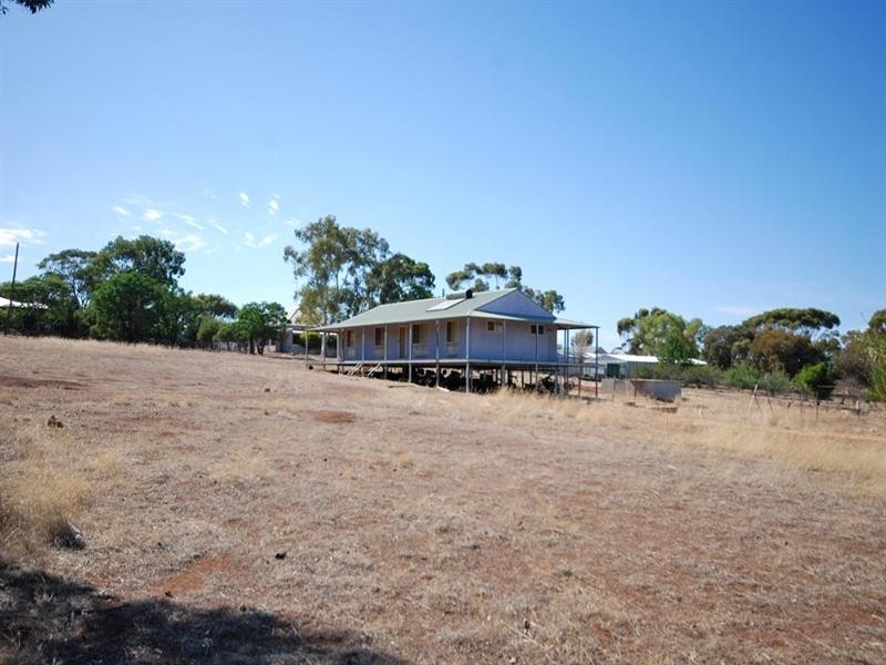 96 Herald Street, Narrogin WA 6312