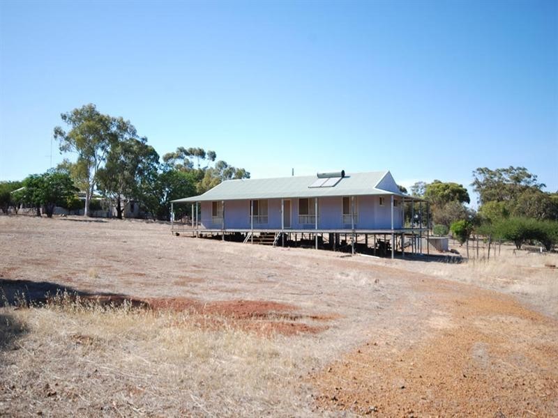 96 Herald Street, Narrogin WA 6312