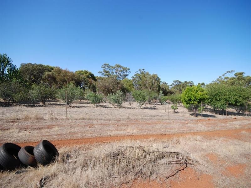 96 Herald Street, Narrogin WA 6312