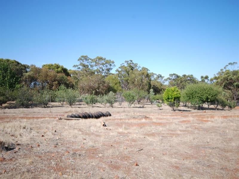 96 Herald Street, Narrogin WA 6312