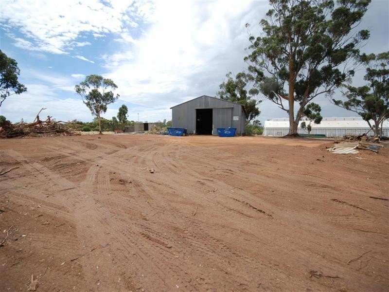 50 and L6 Earl Street, Narrogin WA 6312