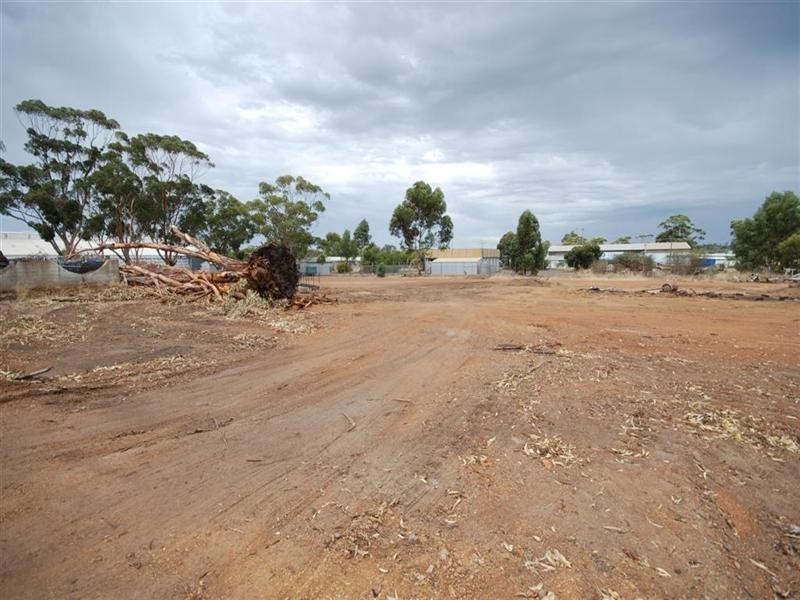 50 and L6 Earl Street, Narrogin WA 6312
