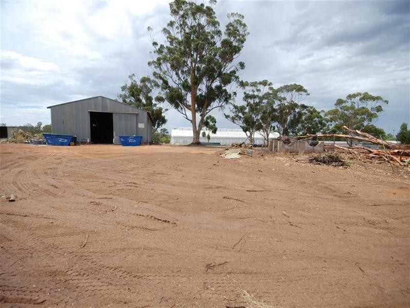 50 and L6 Earl Street, Narrogin WA 6312