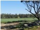 19 Callan Way, Narrogin WA 6312