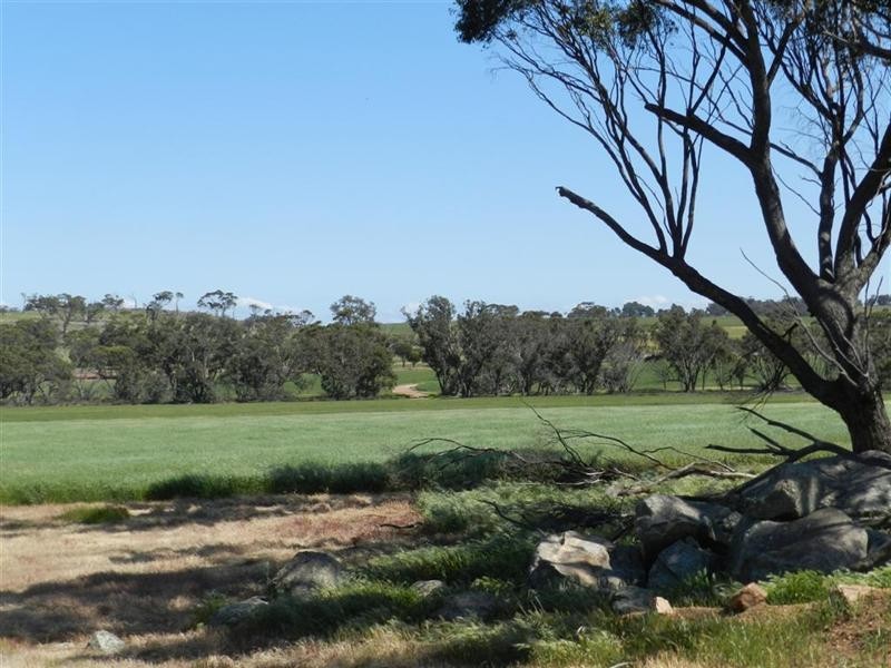 19 Callan Way, Narrogin WA 6312