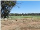 19 Callan Way, Narrogin WA 6312