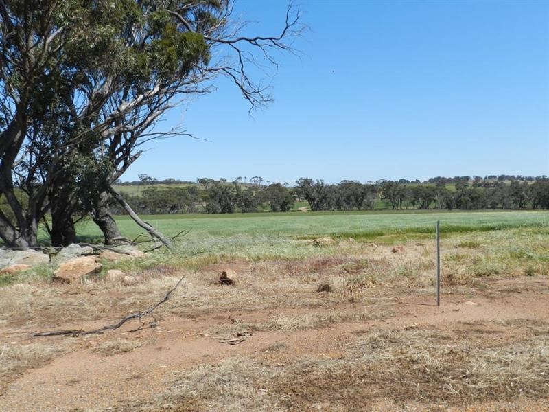 19 Callan Way, Narrogin WA 6312