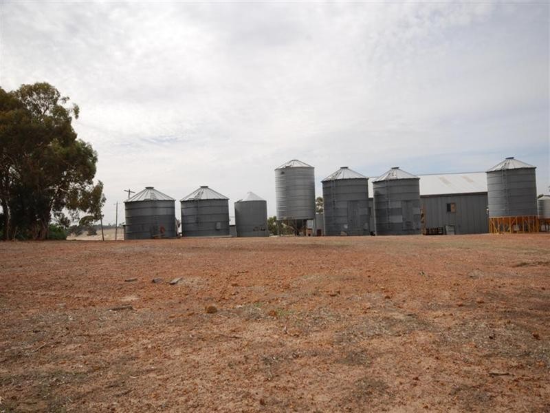 11 Yilliminning Road, Narrogin WA 6312