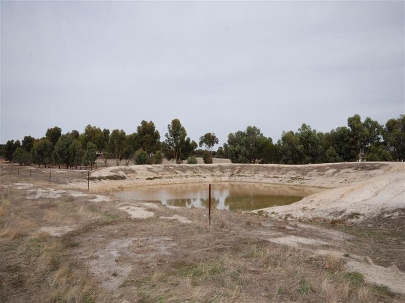 11 Yilliminning Road, Narrogin WA 6312