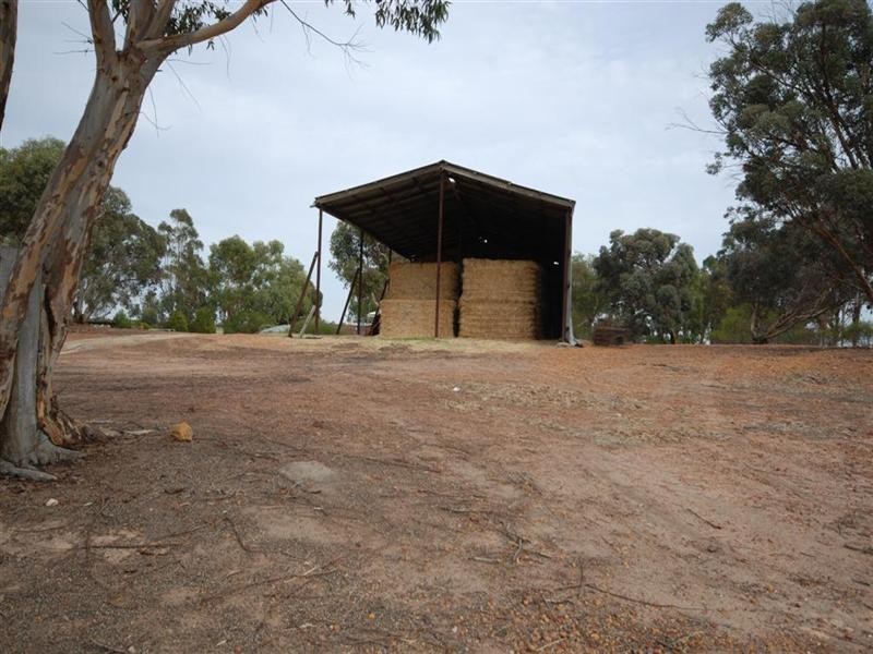 11 Yilliminning Road, Narrogin WA 6312