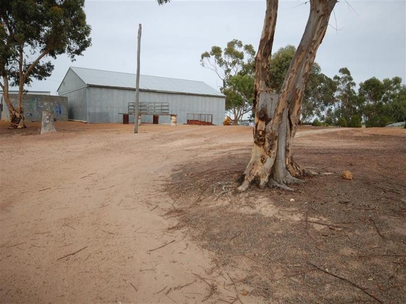 11 Yilliminning Road, Narrogin WA 6312