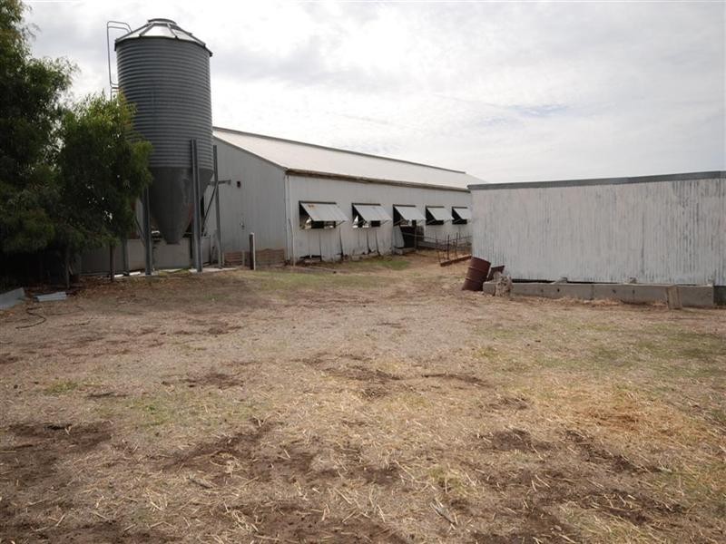 11 Yilliminning Road, Narrogin WA 6312