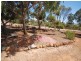 53 Collins Street, Wickepin WA 6370