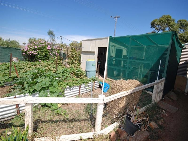 53 Collins Street, Wickepin WA 6370