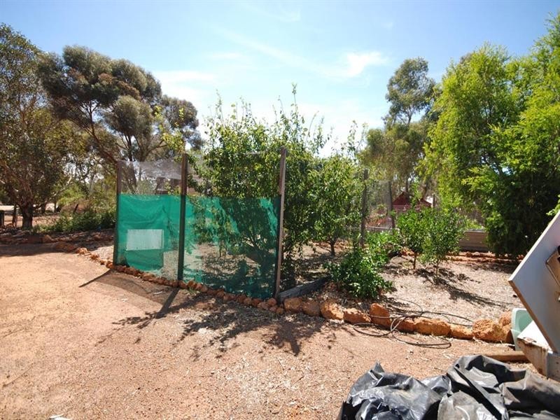 53 Collins Street, Wickepin WA 6370