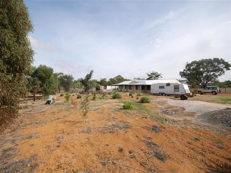 22 Pitt Street, Pingelly WA 6308