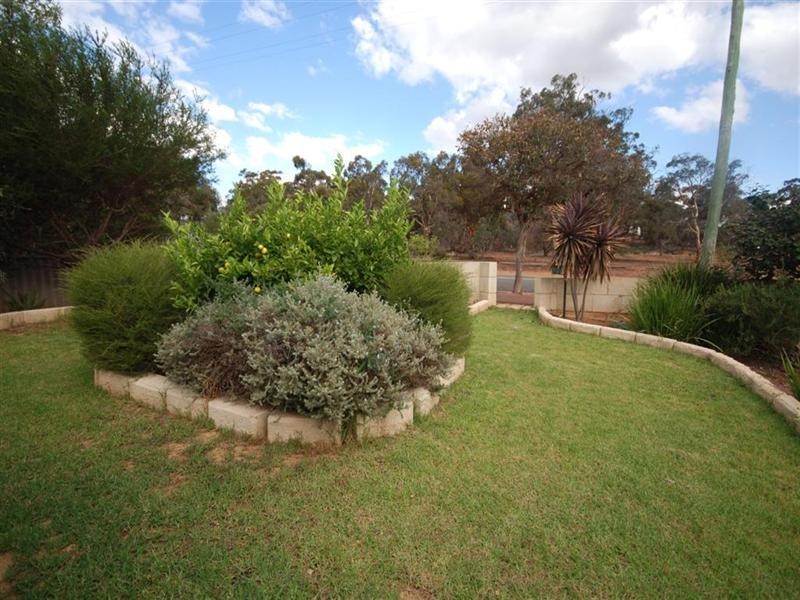 99 Kipling Street, Narrogin WA 6312