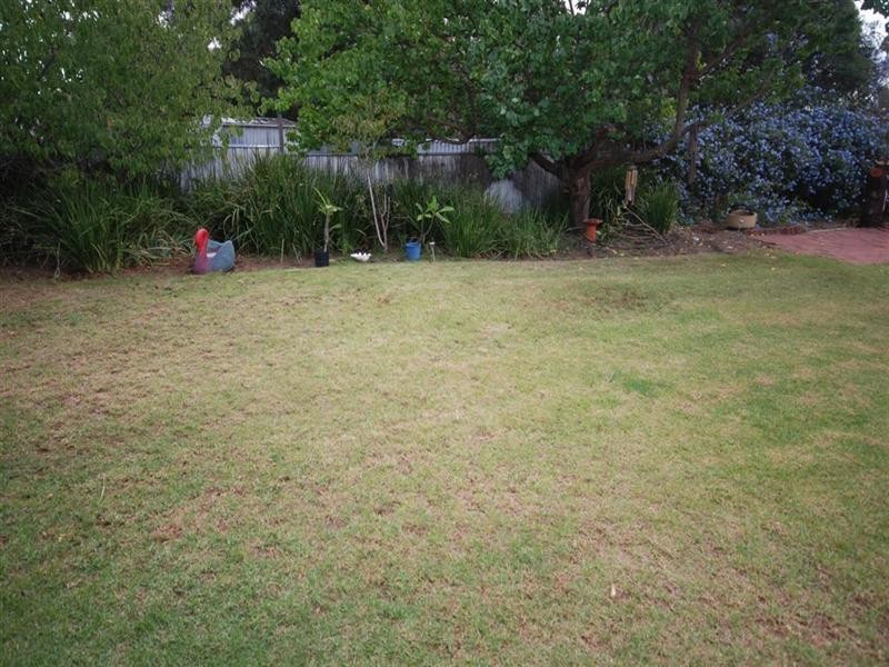 99 Kipling Street, Narrogin WA 6312