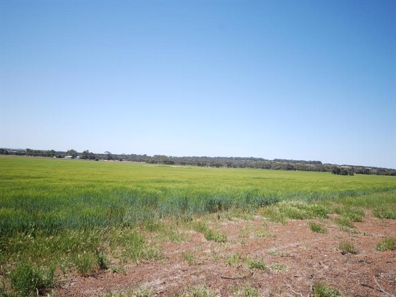 Lot 2774 Great Southern Highway, Cuballing WA 6311