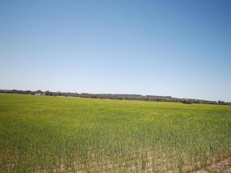 Lot 2774 Great Southern Highway, Cuballing WA 6311
