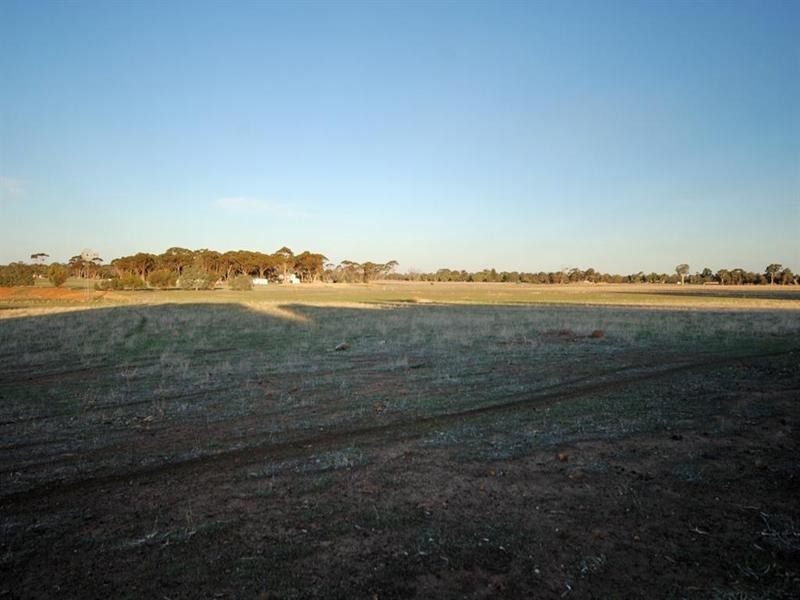 470 Narrogin Valley Road, Narrogin WA 6312