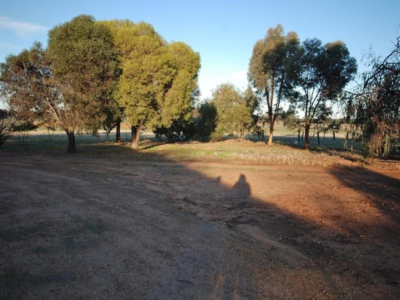 470 Narrogin Valley Road, Narrogin WA 6312