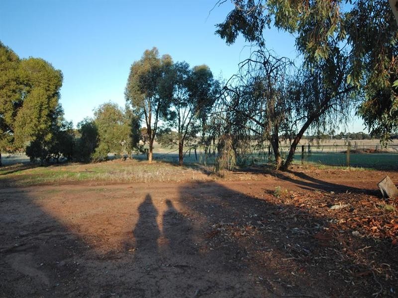 470 Narrogin Valley Road, Narrogin WA 6312