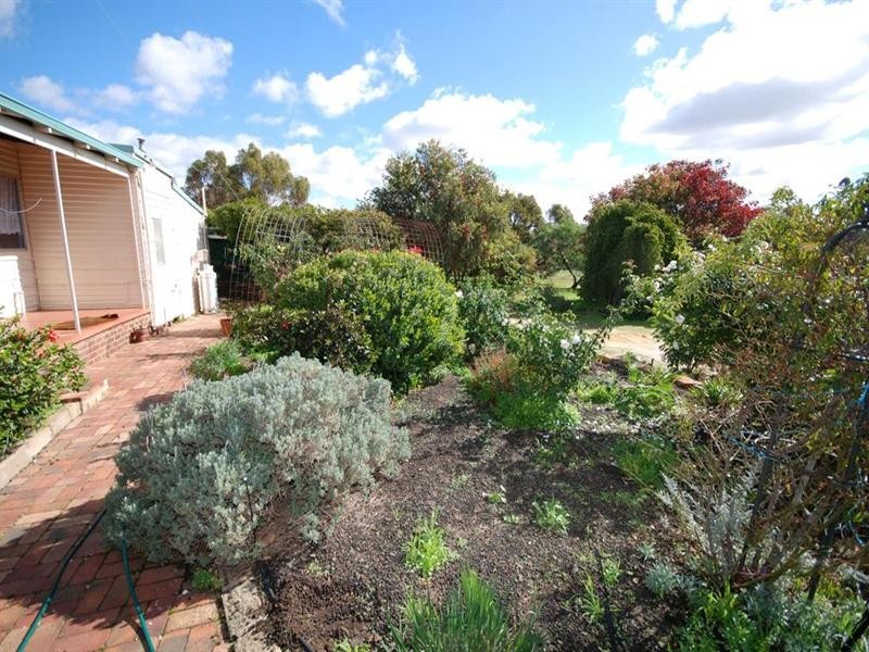 23 Pitt Street, Pingelly WA 6308