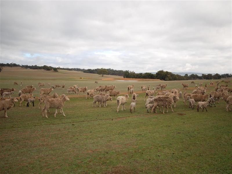 Lot 17382, Popanyinning WA 6309