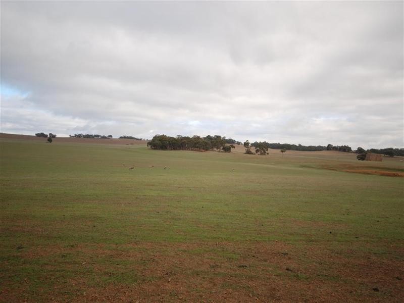 Lot 17382, Popanyinning WA 6309